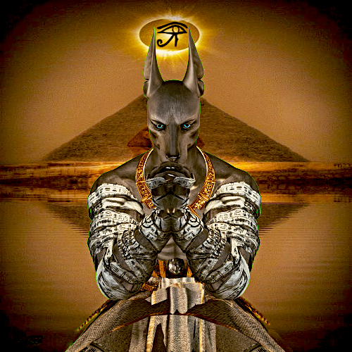 Anubis The Egyptian Jackal